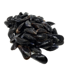 FULL SHELL BLACK MUSSEL FROZEN