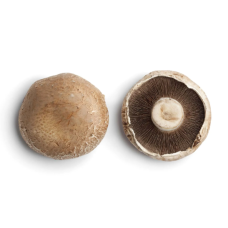 PORTABELLO MUSHROOM (KG)
