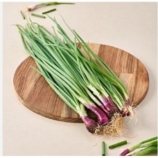 SPRING ONION (KG)