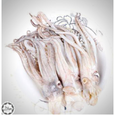 FROZEN SQUID HEAD 500GM X PKT